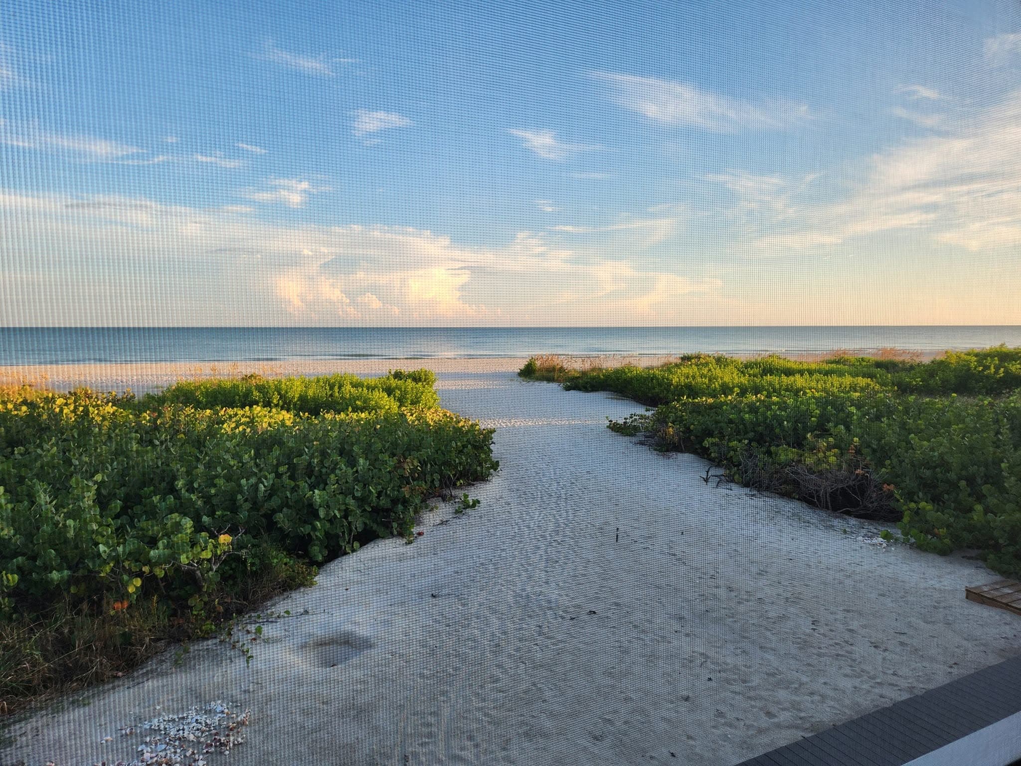 Sandy beach path leading to the ocean
